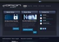 Orion Security's website