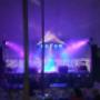 Wildsfees 2013