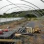 Greenhouse tunnel