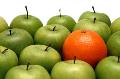 SO what's the difference between a Comfyzak and a traditional beanbag; Apples and Oranges