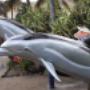 #dolphyn #ushaka #letmeairbrush #airbrushing