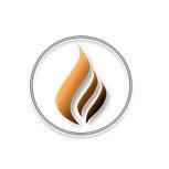 Designer Fireplaces