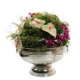 Mistical Moss Ball & Anthirium arrangement