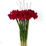 Stunnig Tall Amarillas in Glass vase