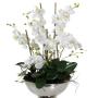 orchid arrangement