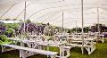 Make Your Special Day More Special with Tentation