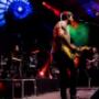 Rock In Bloem 1