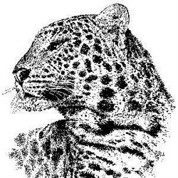 Leopard Corner Guest House