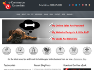 Makhopana Trading and Projects