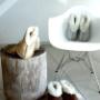 Sheepskin slippers ( Robin)