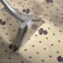 Carpet Cleaning