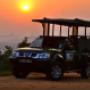 Safaris to Kruger Park