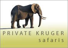 Private Kruger Safaris