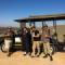 Rhino-on-safari