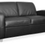Leather Double Seater