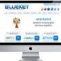 Website Design