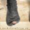 Socks-For-Africa