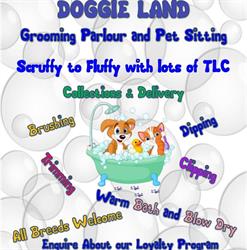Doggie Land Grooming Parlour