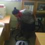 Carpet Cleaning