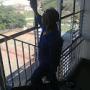 Cleaning of Windows
