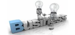 Insedlu Business Companion