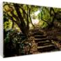 Canvas Prints