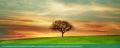 Life Coaching