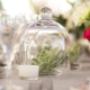 Wedding decor centerpieces