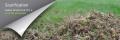 Lawn Clinic Services