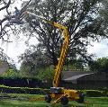 Tree Felling Services