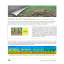Lawn Scarification Treatment