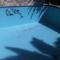 Pool-renovation