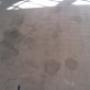 Carpet Before