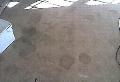 Carpet deep clean