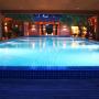 Swimming Pool Contractors