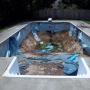 Swimming Pool Repairs