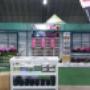 Unique Designed Expo and Trade Show Stands
