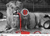 B Online's website