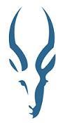 Impala Paving Projects