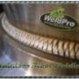 Stainless Steel Welding 2