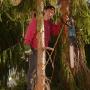 Stump Removal Pretoria