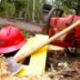 Tree Felling