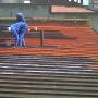 Roof Painting