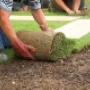 Instant LAwn