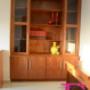 Mahogany Veneer Study