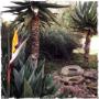 Landscaping 2