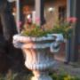 Tranquil Gardens