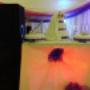 Sound, Lighting, Stage, Decor, Draping