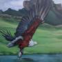 Fish Eagle with Catfish against The Drakensberg