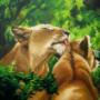 Lionesses Preening